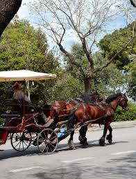Victorian Horse Carriage Stock Photos ...