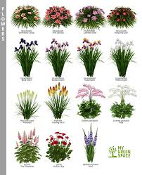 Which One Of These Beautiful Flowers Do You Like To Plant In Your Garden Flowe Beauti Blumen Pflanzen Pflanzen Garten Bepflanzen