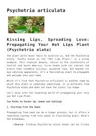 Image result for Psychotria articulata