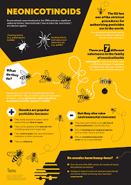 Pin On Infographics By Debating Europe