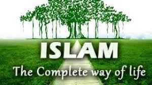 Islam organizes human nature, but does not go against it. Islam Is The Way Of Life Never Blame On Islam Firstly Subscribe My Channel See Full Video Youtube