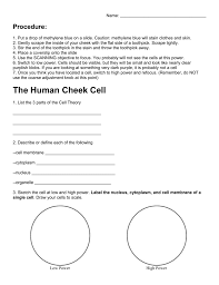 Extracting human dna in the classroom •buccal (cheek cells) can be harvested painlessly and in sufficient quantity to visualise dna extracted. The Human Cheek Cell Key