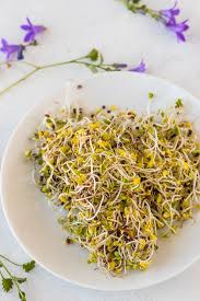 Food coloring, or color additive, is any dye, pigment, or substance that imparts color when it is added to food or drink. How To Grow Broccoli Sprouts Step By Step Guide Clean Eating Kitchen