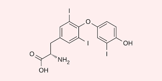 Image result for Thyroxine