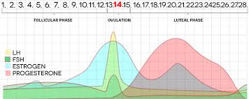 Biomarkers Of Ovulation And The Fertile Window A Research