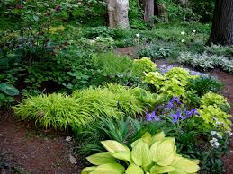 Average minimum temperatures determine the zone; A Woodland Garden Of Flowering Shrubs The Tree Center