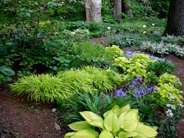And, they provide a perennial staple that can be maintained year after year. A Woodland Garden Of Flowering Shrubs The Tree Center