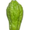 Untuk campuran sayur bisa tahu, tempe atau kacang panjang. 1