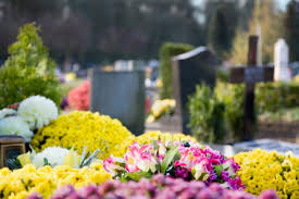 We did not find results for: La Toussaint All Saints Day P O Life