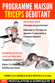 En prise de masse, il vaut mieux privilégier les « gros groupes musculaires » ( pectoraux, biceps… ) mais chaque muscle est important ! Epingle Sur Programmes De Musculation