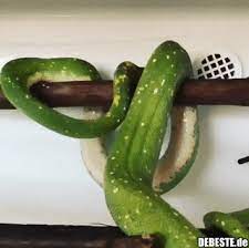 Pin On Gif