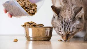 For too long many disreputable cat food brands have got away with making cheap nasty cat foods which consist of offal and other unsavoury and incredibly. Best Affordable Cat Food Cat Reviews