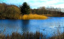Adult Field Trip: Boundary Waters of Washburn County