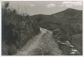 Browse All : Artwork by Fulton, Hamish and Adrian Ensor