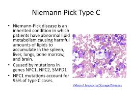The symptoms basically are manifested in those organs where the sphingomyelin accumulates. Diagnosing Niemann Pick Disease Type C Ppt Download