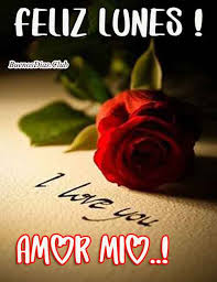Imagenes De Buenos Dias Feliz Lunes Mi Amor Buen Inicio De Semana Buenos Dias Y Frases De Amor