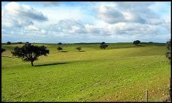 Planícies e Montanhas - Projetando Pessoas