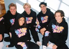 Wheelhouse Group Partners With Tiktok Influencers Hype House Tbi Vision