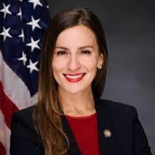 State Senate — Bronx Dems
