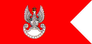 Country was financial ruined ( 1989 wasn't the end of that situation). Polish Military Flags