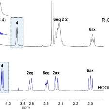 Image result for Equilabium petiolare