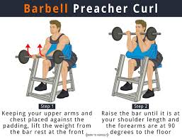 Barbell Preacher Curl What Is It How To Do Muscles Worked