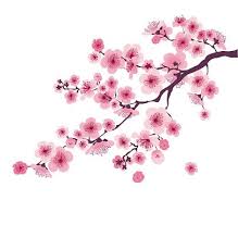 Pin On Sakura