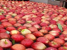 Dessertend of summer peach cobbler (gfycat.com). British Columbia Tree Fruit Seeing Increased Demand