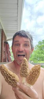 Fresh mushrooms found in Greenwood, Indiana