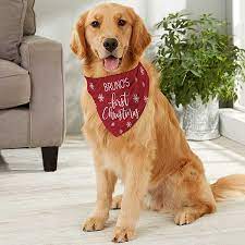 We did not find results for: Red And White Personalized Dog S First Christmas Bandana Large Christmas