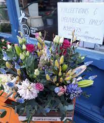 Proflowers.com has been visited by 10k+ users in the past month Main Street Flowers Howth Home Facebook