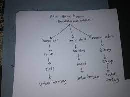 Tuliskan Alat Gerak Dan Fungsi Alat Gerak Pada Hewan Darat Laut Dan Udara Masing Masing Dalam Satu Brainly Co Id