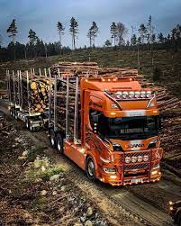 900 Land Trains Ideas In 2021 Road Train Big Trucks Trucks