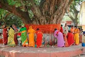 Vat purnima vrat is similar to vat savitri vrat. Vat Purnima 2021 Importance Of Vata Savitri Purnima Vrat And Fasting Hindu Blog