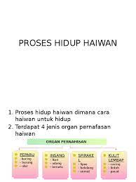 Proses hidup haiwan unit 5 : Sains Tahun 5 Proses Hidup Haiwan