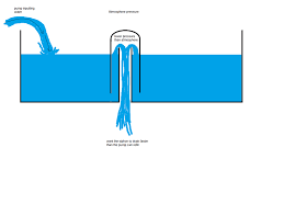 Physics Of A Bell Siphon Physics Forums