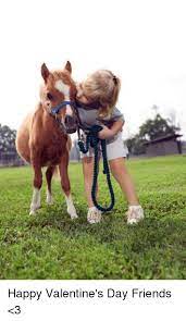 25 Best Memes About Happy Valentines Day Friend Happy Happy Valentines Day Friend Horses Cute Horses Miniature Horse