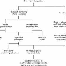 Employees at origin technology (m) sdn bhd. Pdf Orchid Re Introductions An Evaluation Of Success And Ecological Considerations Using Key Comparative Studies From Australia