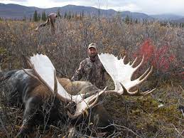 We did not find results for: Brooks Range Self Guided Trophy Moose Hunts Arrowhead Outfiiters Llc