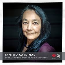 Not A Lady: A Dr. Quinn, Medicine Woman Podcast