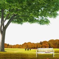 Garden Background Scene With Natural Background Garden Summer Vacation Png Transparent Clipart Image And Psd File For Free Download In 2020 Natural Background Landscape Clipart Nature Prints