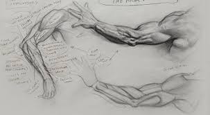 Figure Drawing Anatomy Of Style Cg Master Academy Learn how to create your own. figure drawing anatomy of style cg
