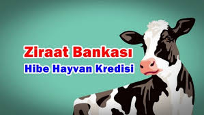 Ziraat Bankasi Hayvan Kredisi Hibe Hayvancilik Kredisi Kredi Almanin Yolu