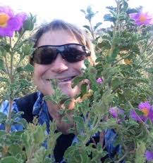 Santa Barbara: Rattlesnake Canyon