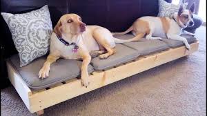 We did not find results for: 10 Diy Dog Beds Made From Pallets Upcycling For The Win