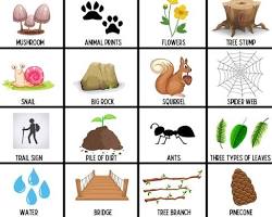 Nature scavenger hunt