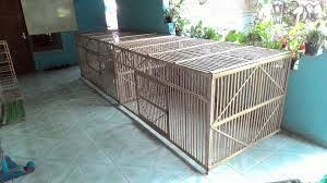 Selain itu, penyesuaian ukuran kandang terhadap ukuran pekarangan juga harus dipertimbangkan. 5 Contoh Kandang Ayam Birma Brooding Box Umbaran