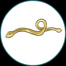 Additionally, if your cat has tapeworms, they might also have fleas, he said. Worms In Cats The Most Common Types Treating And Prevention