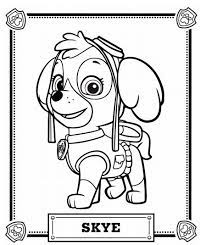 Discover (and save!) your own pins on pinterest Skye Activity Pack Paw Patrol Coloring Paw Patrol Coloring Pages Skye Paw Patrol Party