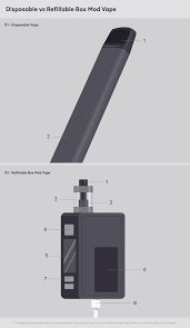Disposable vs Rechargeable Vapes | IQOS UK